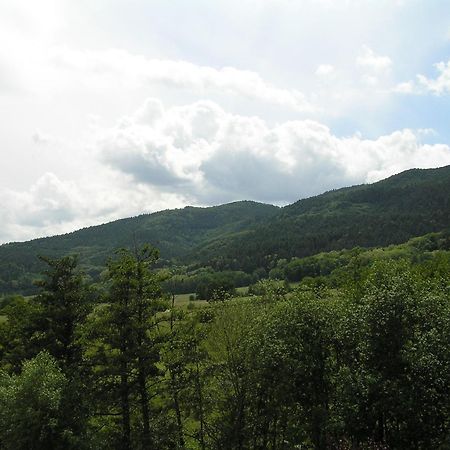 A L'Arbre Vert Wintzfelden Buitenkant foto