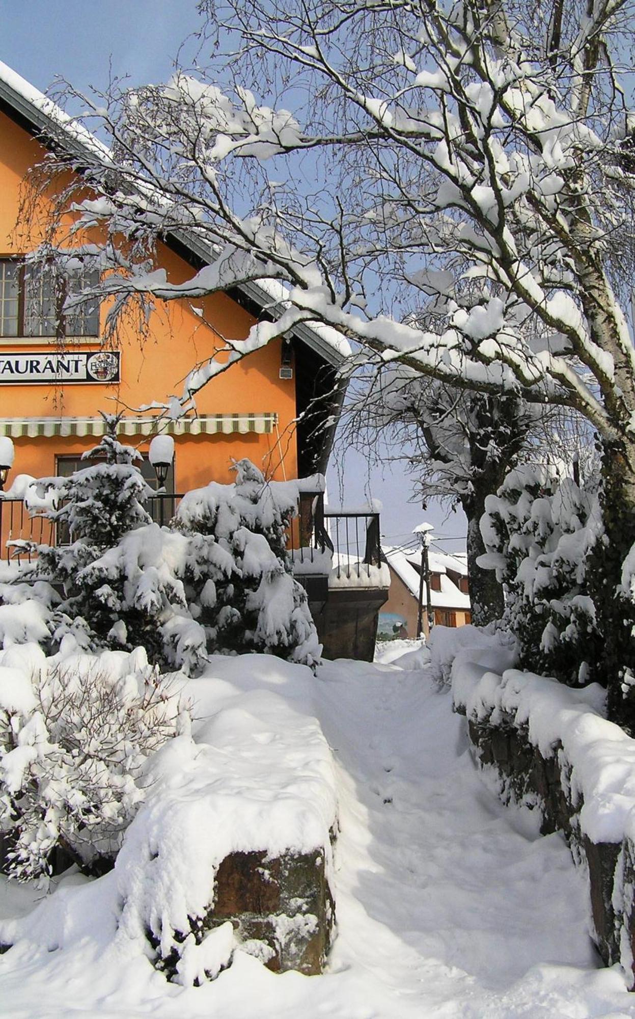 A L'Arbre Vert Wintzfelden Buitenkant foto